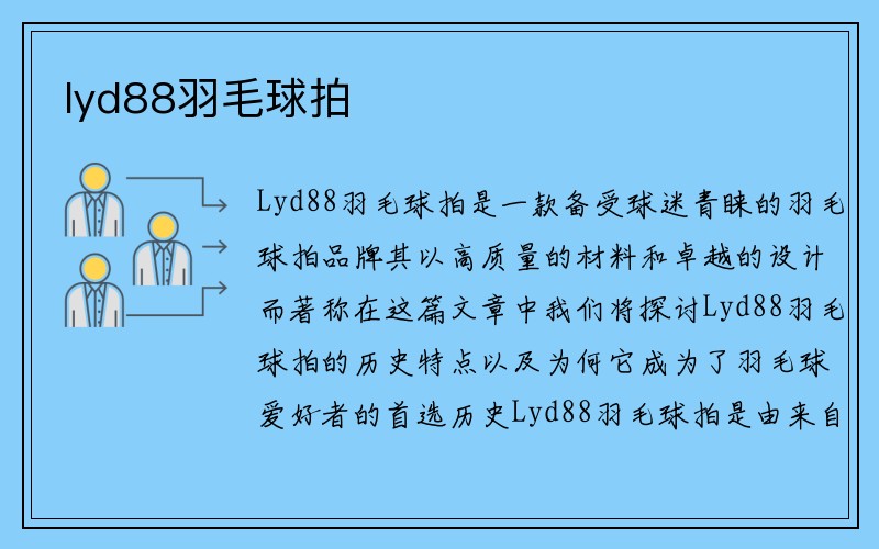 lyd88羽毛球拍