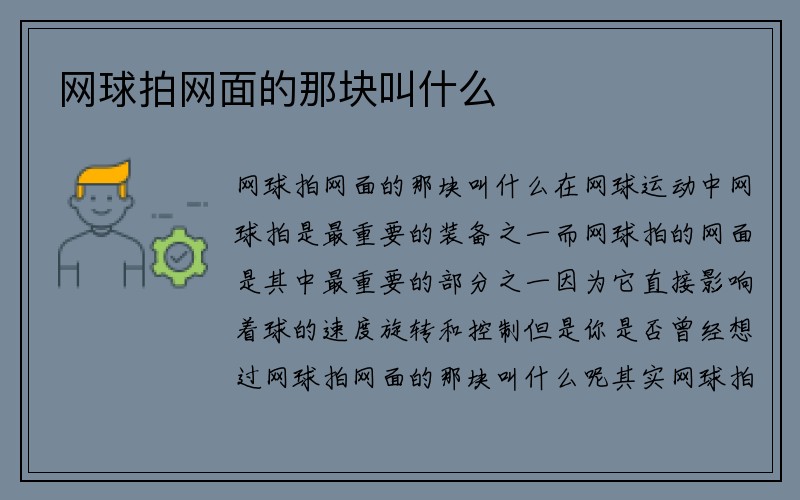 网球拍网面的那块叫什么