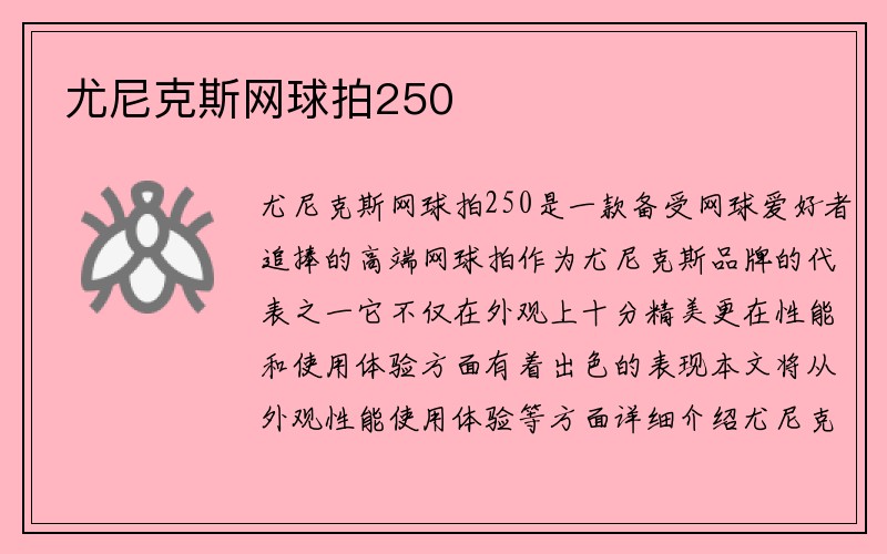 尤尼克斯网球拍250